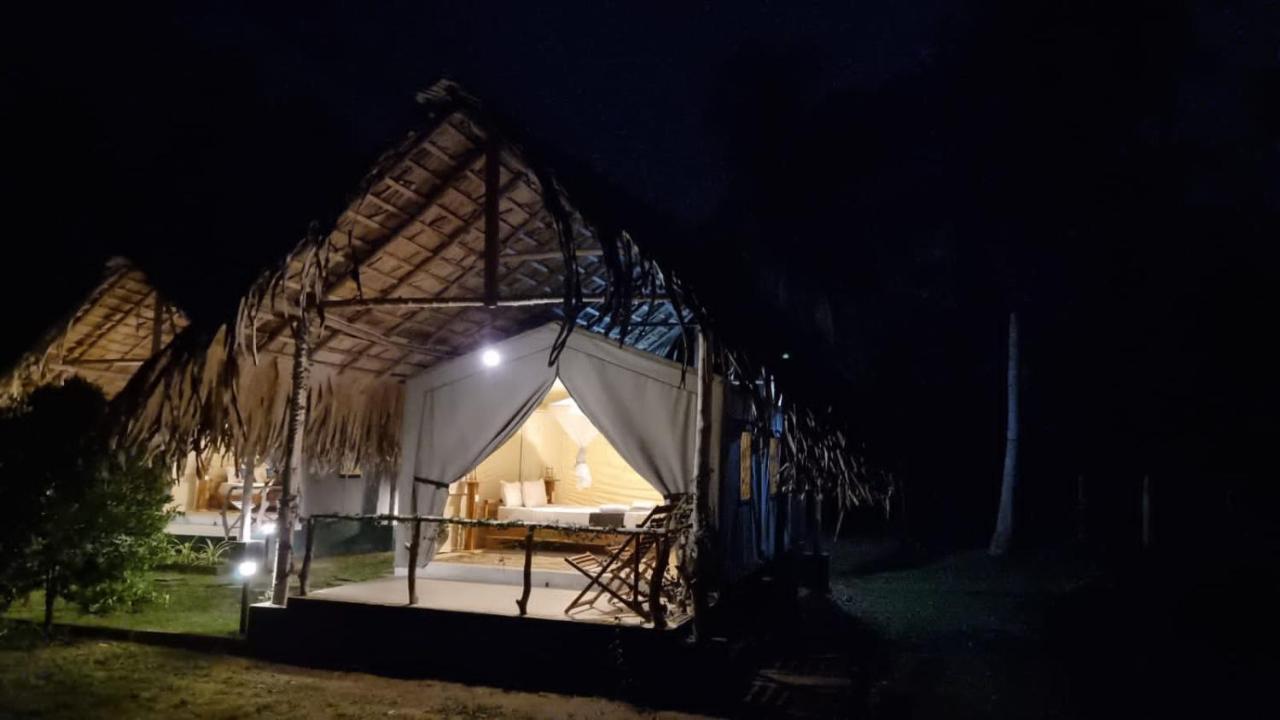 אודוואלאווה Jungle View River Camping מראה חיצוני תמונה
