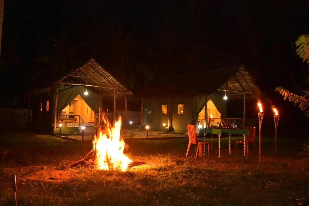 אודוואלאווה Jungle View River Camping מראה חיצוני תמונה