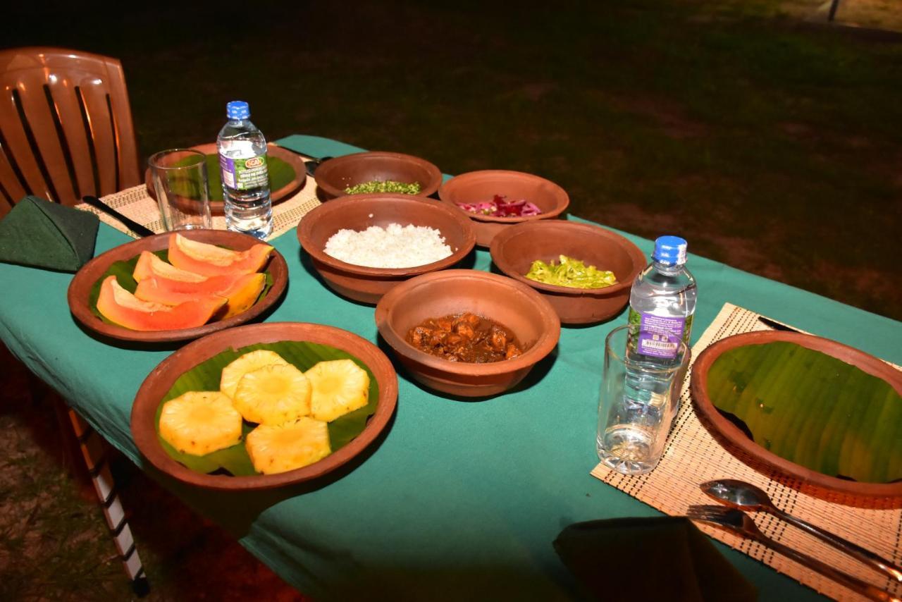 אודוואלאווה Jungle View River Camping מראה חיצוני תמונה